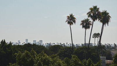L'Ermitage Beverly Hills