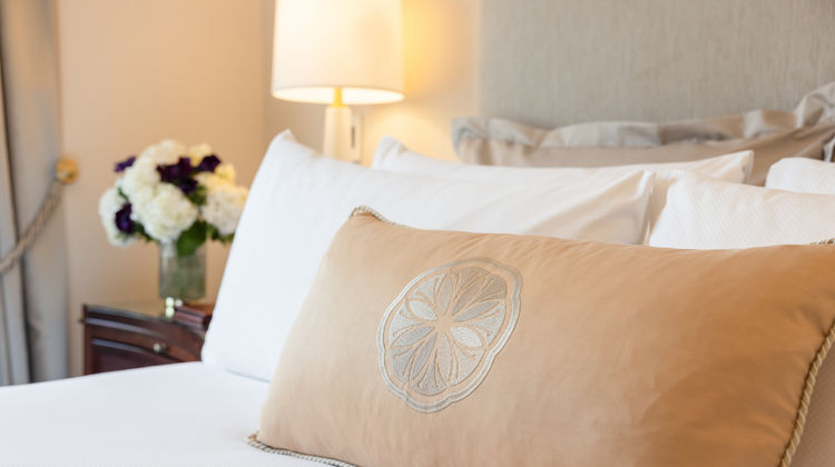 Hotel Drisco Room
