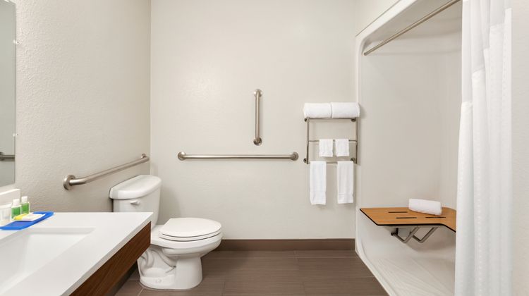 Holiday Inn Express Hotel & Suites Room