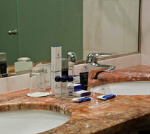 VIP Executive Entrecampos Hotel & Conf Room