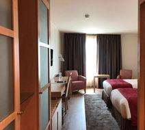 VIP Executive Entrecampos Hotel & Conf Room