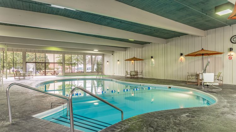 Holiday Inn & Suites Pool