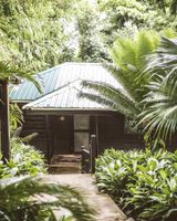 Copal Tree Lodge