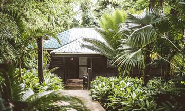 Copal Tree Lodge
