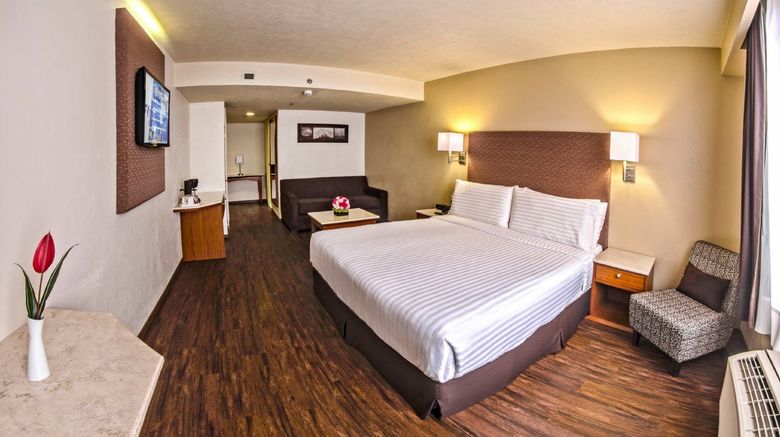 <b>Holiday Inn Orizaba Room</b>. Images powered by <a href="https://www.leonardoworldwide.com/" title="Leonardo Worldwide" target="_blank">Leonardo</a>.