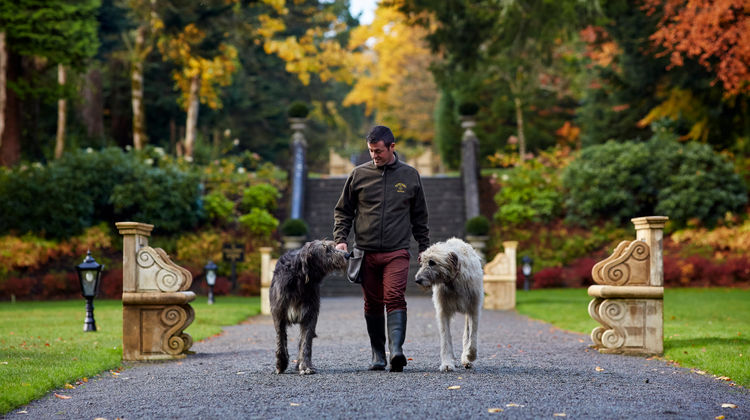 Ashford Castle Other