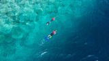 Ocean Club, a Luxury Collection Resort Other