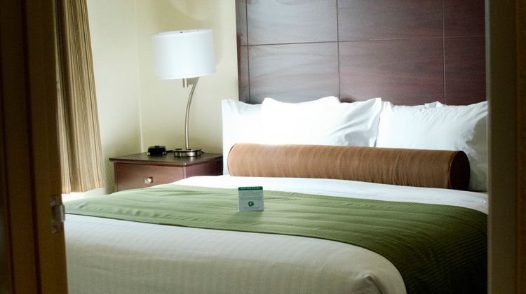 Cobblestone Inn & Suites Soda Springs Room