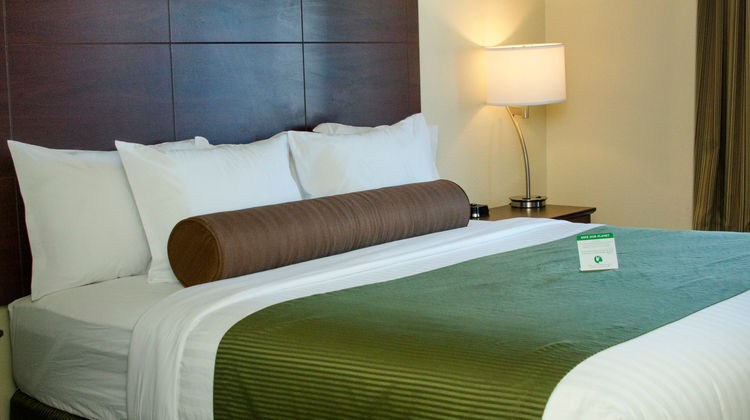 Cobblestone Inn & Suites Soda Springs Room