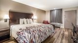 <b>Red Roof Inn Sumter Room</b>. Images powered by <a href="https://www.leonardoworldwide.com/" title="Leonardo Worldwide" target="_blank">Leonardo</a>.