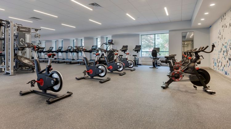 Sheraton Suites Old Town Alexandria Recreation
