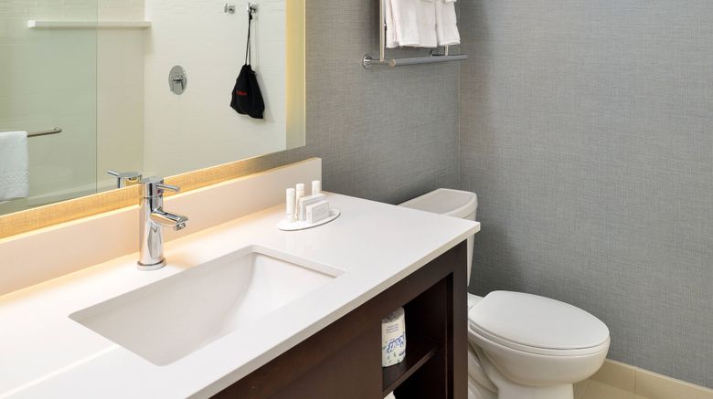 <b>Residence Inn by Marriott Downtown Room</b>. Images powered by <a href="https://www.leonardoworldwide.com/" title="Leonardo Worldwide" target="_blank">Leonardo</a>.