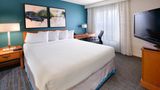 Residence Inn Dallas Plano/Legacy Suite