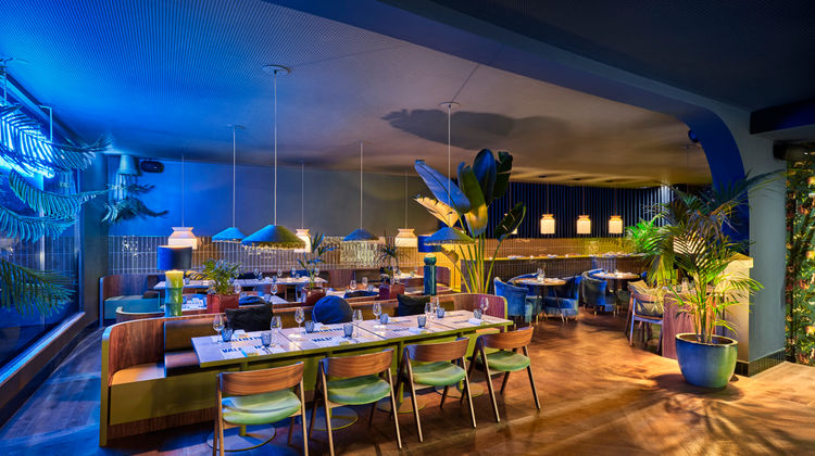 Chic and Basic Gravity Restaurant
