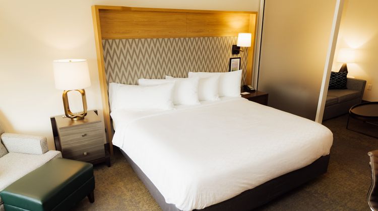 Holiday Inn & Suites-Convention Center Room