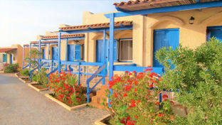 Hotel Zorbas Beach Village