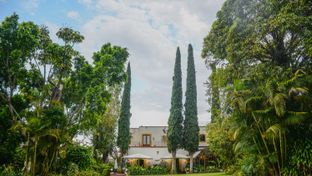 Hotel Hacienda Los Laureles - Spa