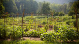 Blackberry Farm Exterior