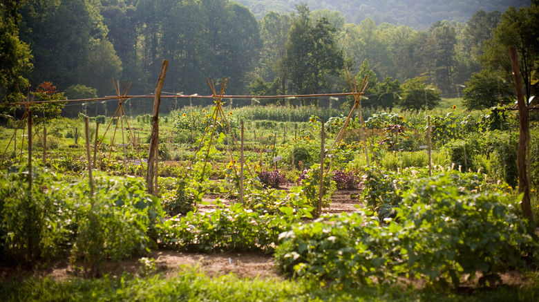 <b>Blackberry Farm Exterior</b>. Images powered by <a href="https://www.leonardoworldwide.com/" title="Leonardo Worldwide" target="_blank">Leonardo</a>.