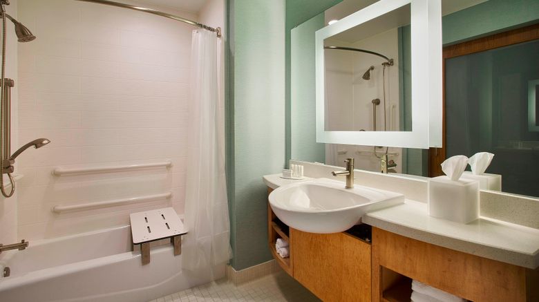<b>SpringHill Suites Houston Downtown Room</b>. Images powered by <a href="https://www.leonardoworldwide.com/" title="Leonardo Worldwide" target="_blank">Leonardo</a>.