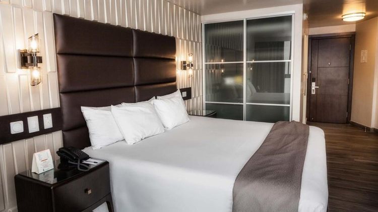 Hotel Plaza Paitilla Inn Room