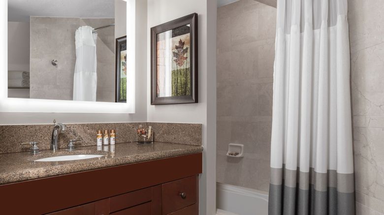 <b>Grand Residences by Marriott, Lake Tahoe Room</b>. Images powered by <a href="https://www.leonardoworldwide.com/" title="Leonardo Worldwide" target="_blank">Leonardo</a>.