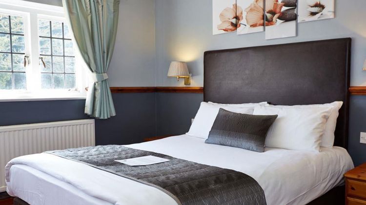 Dog House Hotel Room