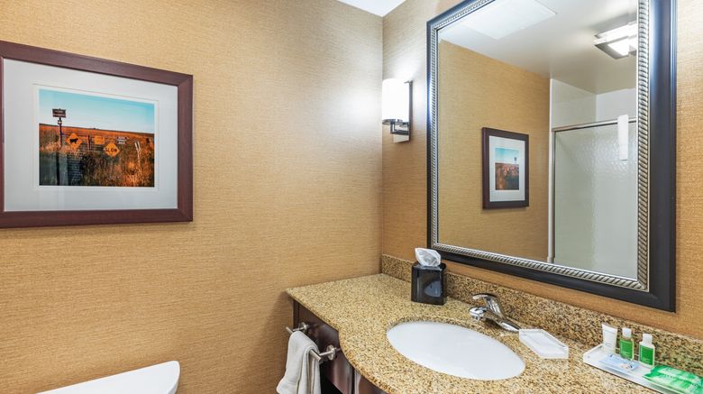 <b>Holiday Inn Ardmore I-35 Room</b>. Images powered by <a href="https://www.leonardoworldwide.com/" title="Leonardo Worldwide" target="_blank">Leonardo</a>.
