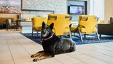 <b>Residence Inn By Marriott Berkeley Other</b>. Images powered by <a href="https://www.leonardoworldwide.com/" title="Leonardo Worldwide" target="_blank">Leonardo</a>.