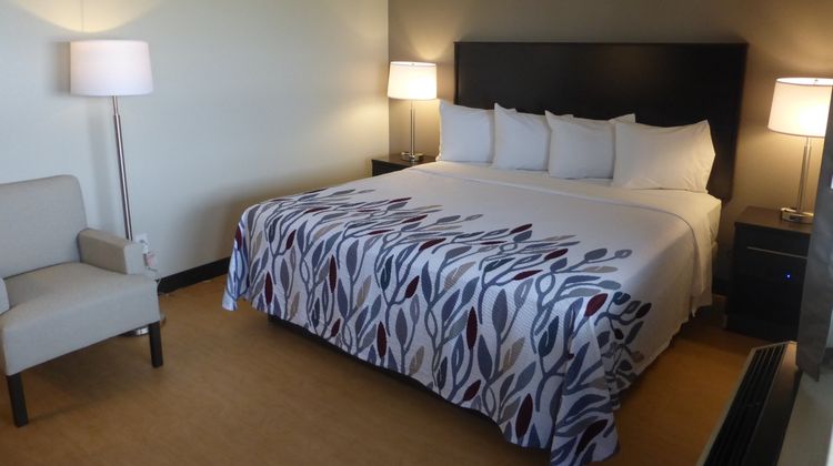 Red Roof Inn Somerset, PA Room