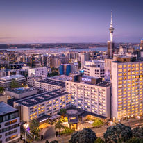 Cordis, Auckland