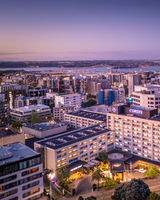 Cordis, Auckland