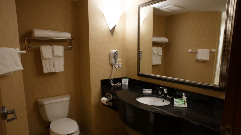 <b>Holiday Inn Battle Creek Room</b>. Images powered by <a href="https://www.leonardoworldwide.com/" title="Leonardo Worldwide" target="_blank">Leonardo</a>.