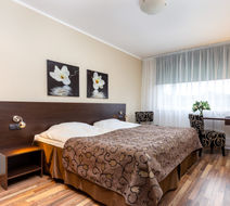 Hotel Dzingel Room