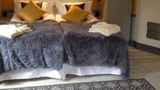 Centric Hotel Room