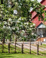 Krapi Hotel