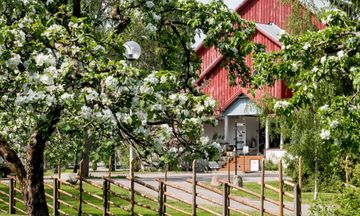 Krapi Hotel