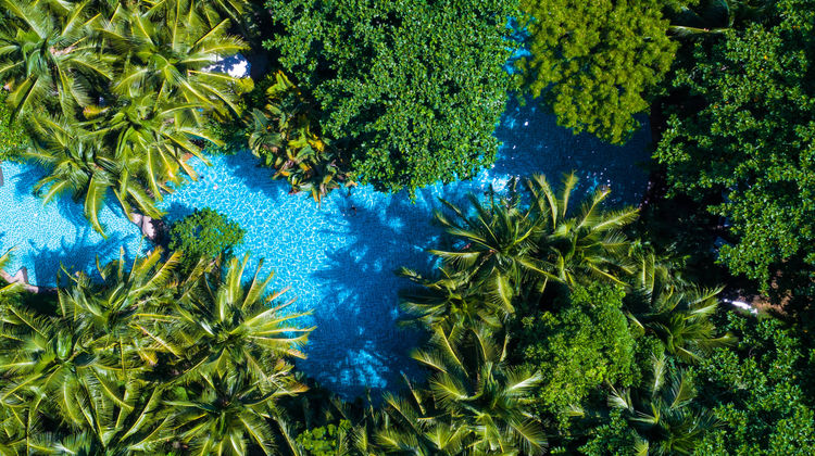 Furama Resort Da Nang Pool