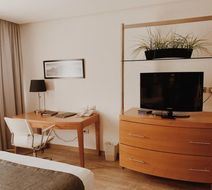 Hotel Mercury Inn Room