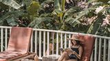 <b>Amara Sanctuary Resort Sentosa Other</b>. Images powered by <a href="https://www.leonardoworldwide.com/" title="Leonardo Worldwide" target="_blank">Leonardo</a>.