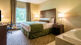 Cobblestone Hotel & Suites Harborcreek Suite