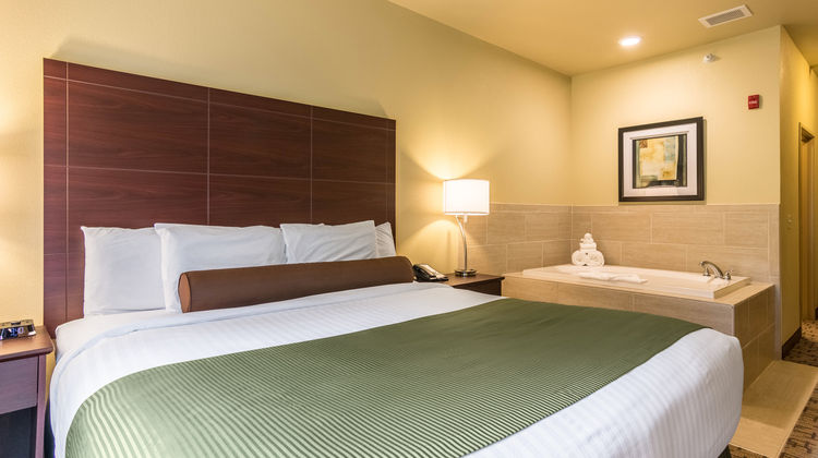 Cobblestone Hotel & Suites Harborcreek Suite