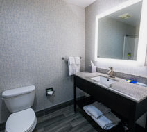 Holiday Inn Express Hotel & Suites Room