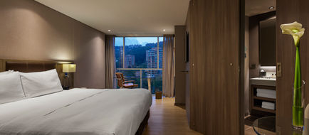 Binn Hotel Room
