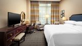 Sheraton McKinney Hotel Room