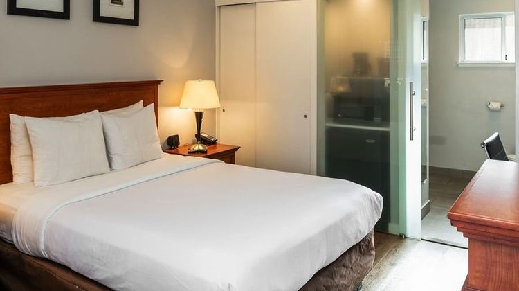 The Inn at 1252 Monterey Room