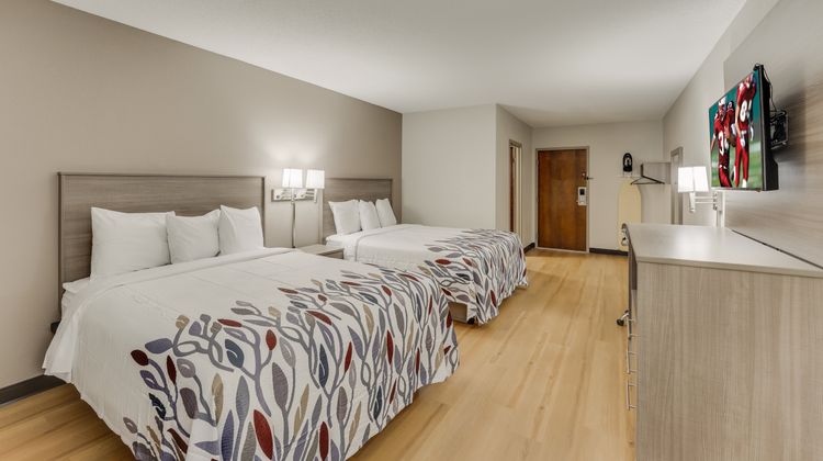 Red Roof Inn & Suites Newport Middletown Room