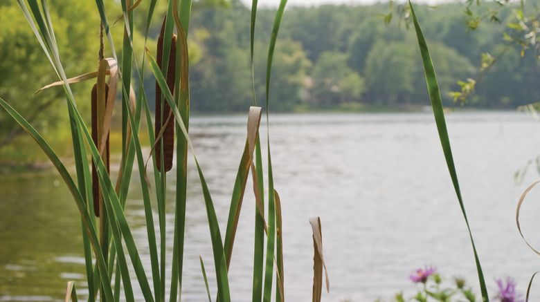 <b>Wyndham Resort at Fairfield Glade Exterior</b>. Images powered by <a href="https://www.leonardoworldwide.com/" title="Leonardo Worldwide" target="_blank">Leonardo</a>.