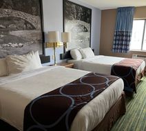 Boarders Inn & Suites Room