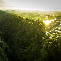 The Viceroy Bali